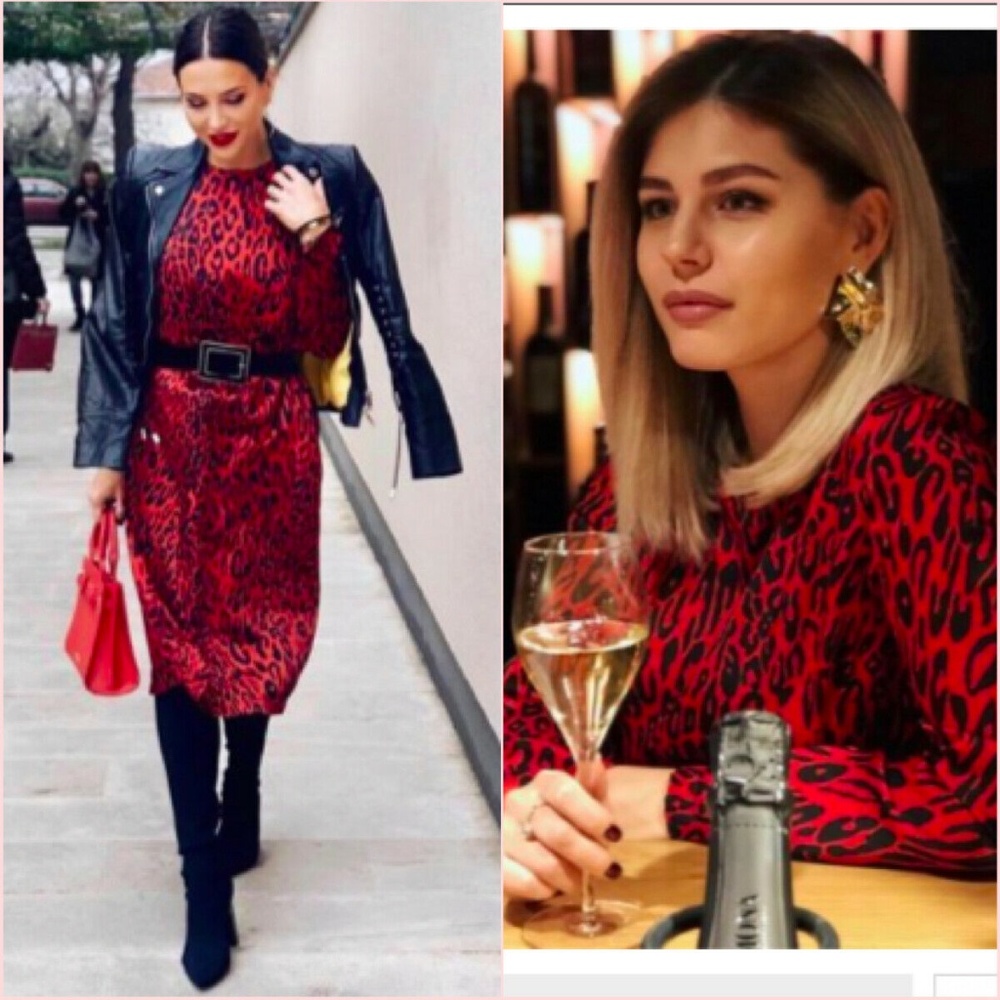 ZARA Animal Print Red Maxi Dress NWOT Blogger's Fa - Picture 2 of 14